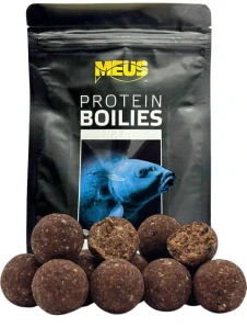 BOILIES CHALLENGE HARD – Squid & Scopex 20mm