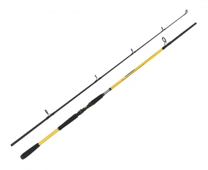 ZFISH PRÚT KODIAK 2,40 M/100-250G